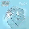 The 2025 new Xingbao children's transparent umbrella features a star-patterned kindergarten graffiti umbrella, which is cute and fresh details Picture